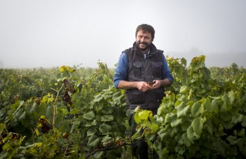 Domaine Bregeon