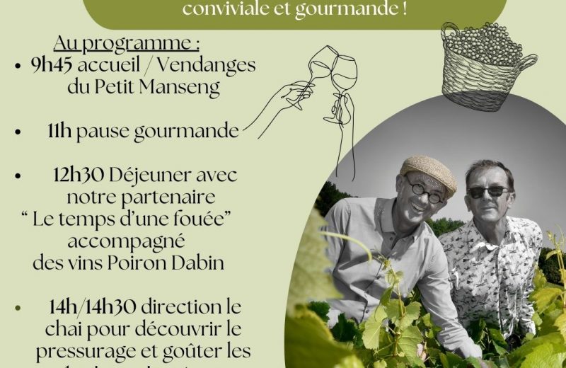 Post instagram circuit œnotourisme illustratif dessins vignobles raison vert – 1