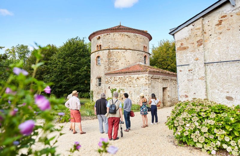 VignobleNantais2019-alamoureux-MG-4027