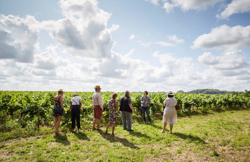 VignobleNantais2019@alamoureux_MG_4140