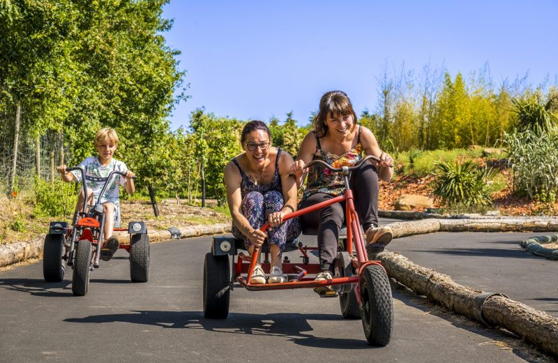 attractions-kart-a-pedales-natural-parc-st-laurent-des-autels-oa-osez-mauges-©F.Crampon (10)