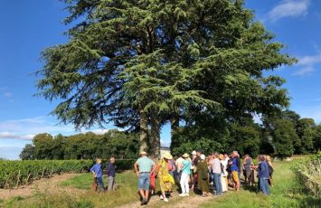 baladeauvignobleLieubeau_ChateauThébaud-2025_vignoblenantais.com