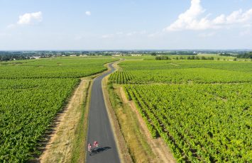 ROUTE DES VINS “VOYAGE DANS LE VIGNOBLE” DE NANTES A CLISSON