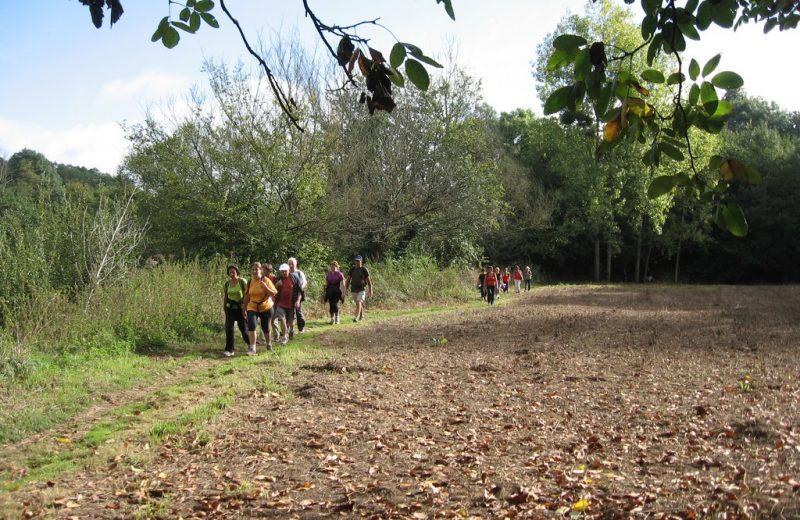 circuit-boucle-pedestre-vignes-et-rivieres-maisdon-sur-sevre-44-ITI  (4)