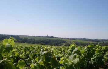 Panorama sur Saint-Fiacre-Sur-Maine