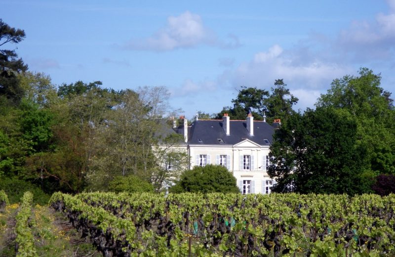 circuit-chateau-hte-goulaine-levignoblenantes-tourisme (1)