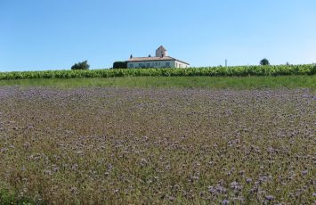 BOUCLE CIRCUIT DES COTEAUX