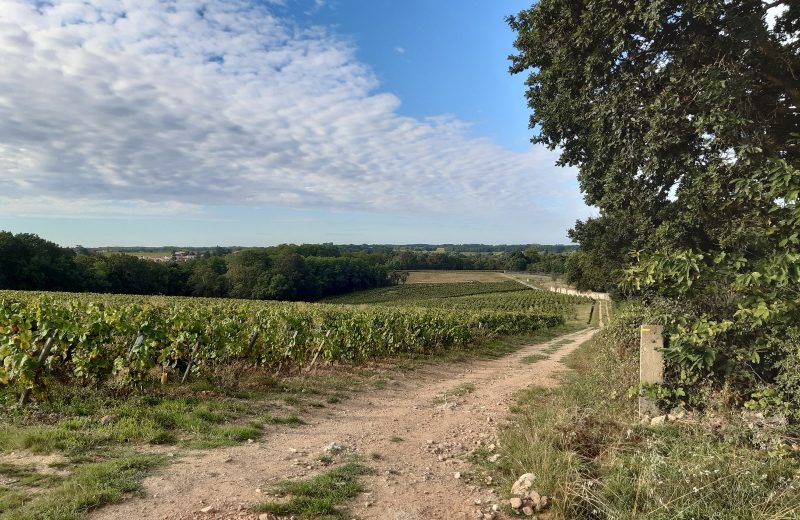 circuit entre moulins et chateaux la haye fouassiere