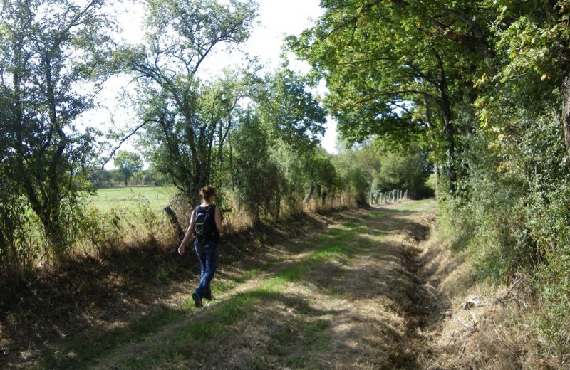 circuit-les-ombrages-le-landreau-levignoblenantes-tourisme (9)