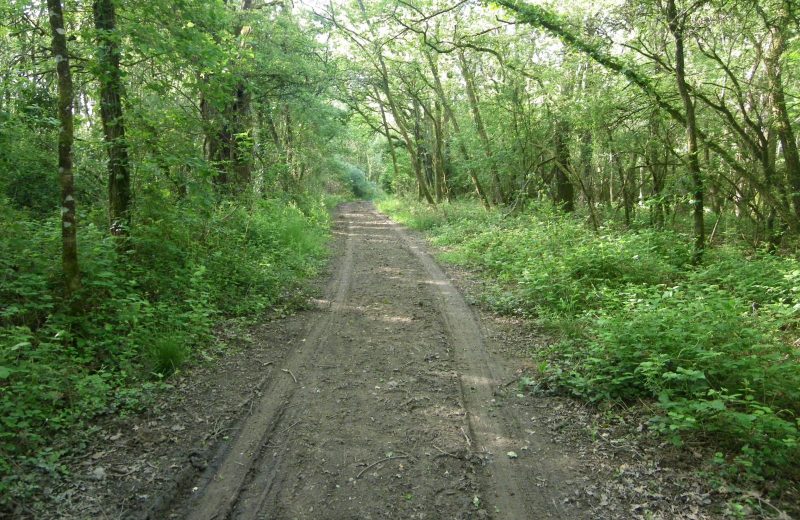 circuit-marais-haute-goulaine-levignobledenantes-tourisme(2)