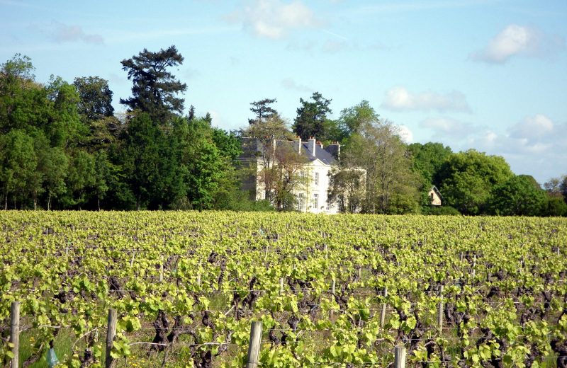 circuit-marais-haute-goulaine-levignobledenantes-tourisme(4)