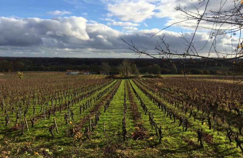 circuit-moulin-ouen-lelorouxbott-levignoblenantes-tourisme (8)