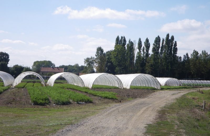 circuit-petitanjou-stjulien-levignoblenantes-tourisme (8)