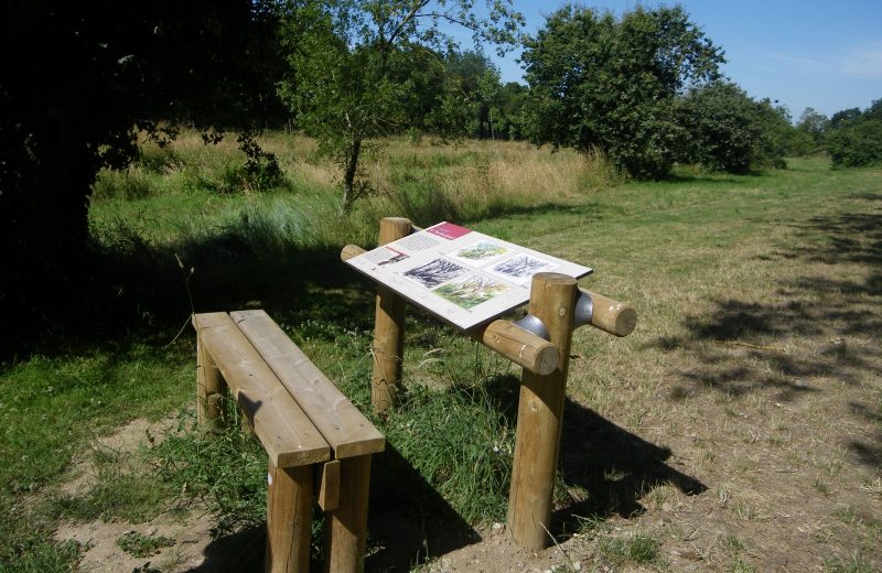 circuit rando croquis divatte sur loire  (8)