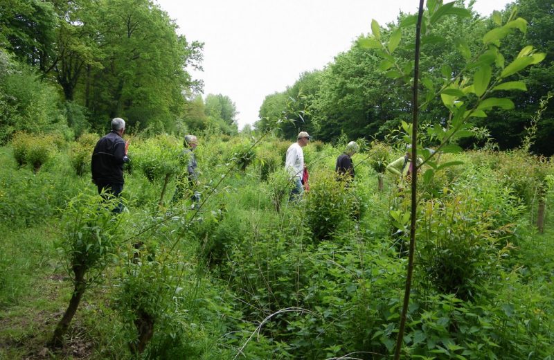 circuit-robiniere-laremaudiere-levignoblenantes-tourisme (1)