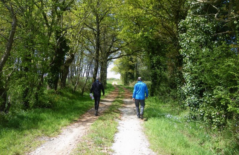 circuit-terres-vignes-st-lumine-clisson-levignoblenantes-touris (14)