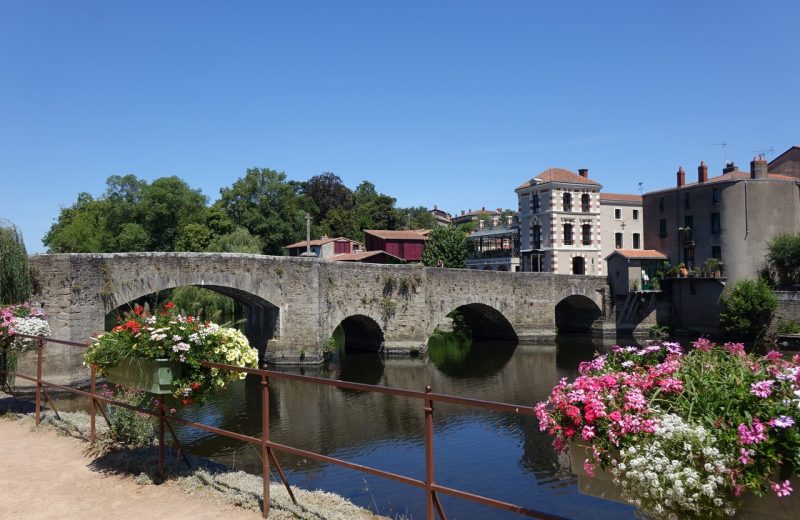 clisson 22 juillet 2020 vignoble de nantes tourisme (17)