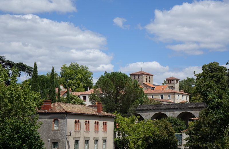 clisson 27 juillet 2022 le vignoble de nantes tourisme (18)