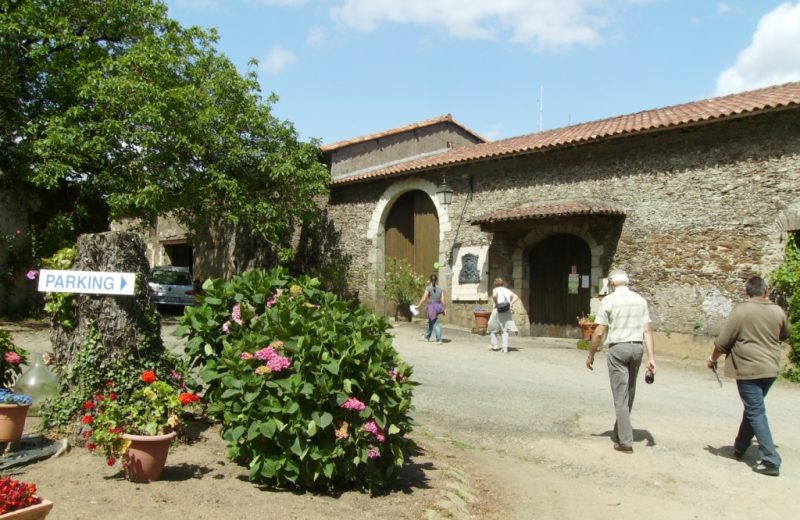 degustations-chateau-galissonniere-le-pallet-44-DEG—4-