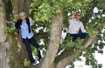 deux frères dans l’arbre