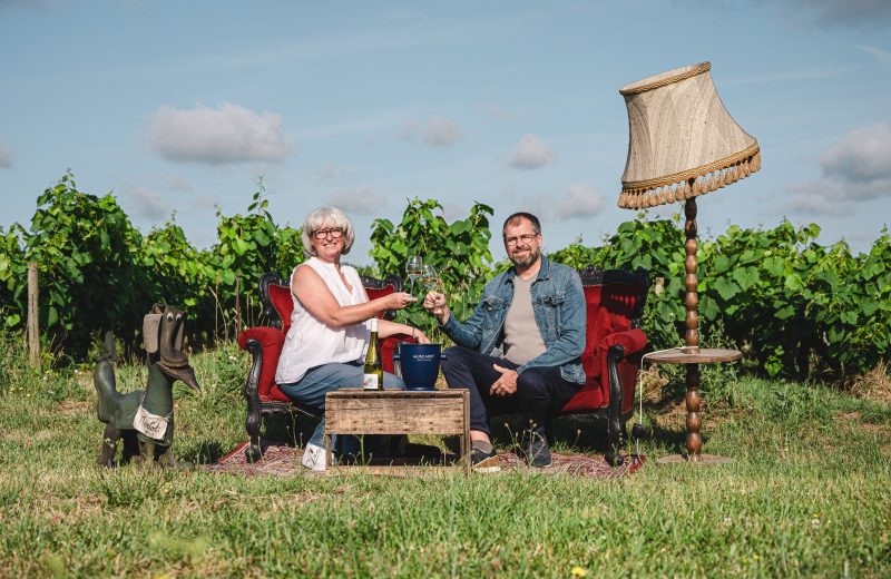 domaine forgeau 2