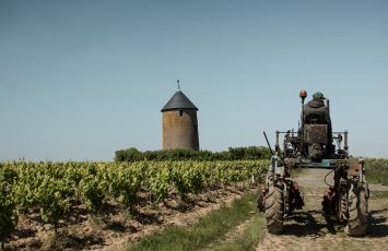 Domaine Ménard-Gaborit