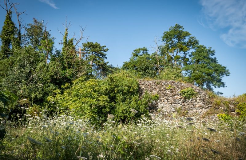 donjon le pallet 2 credit j bosger