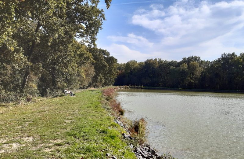 etang de stuilleries monnieres le vignoble de nantes tourisme