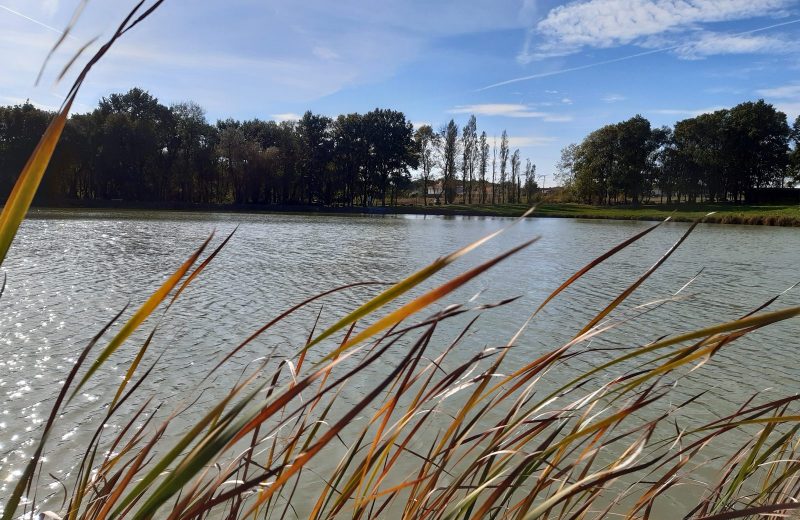 etang de stuilleries monnieres le vignoble de nantes tourisme6