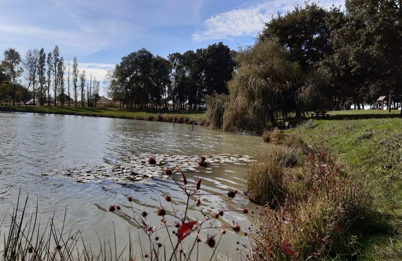 etang de stuilleries monnieres le vignoble de nantes tourisme8