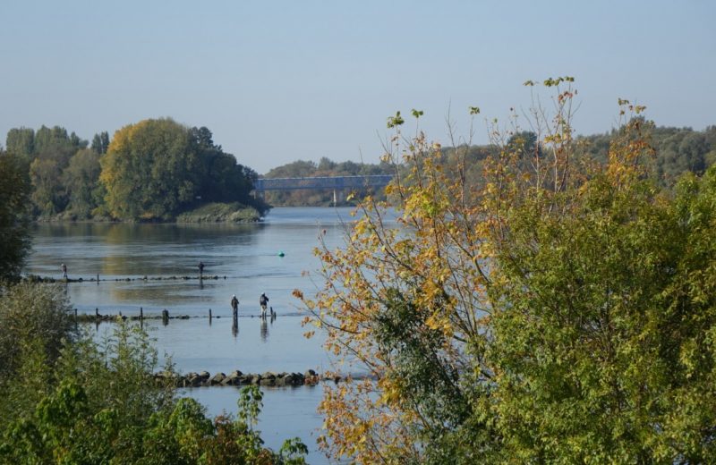 étape 3 les amenagements les épis parcours loire OTVN   (4) [1280×768]