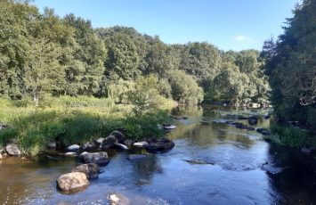 la Sèvre à Boussay