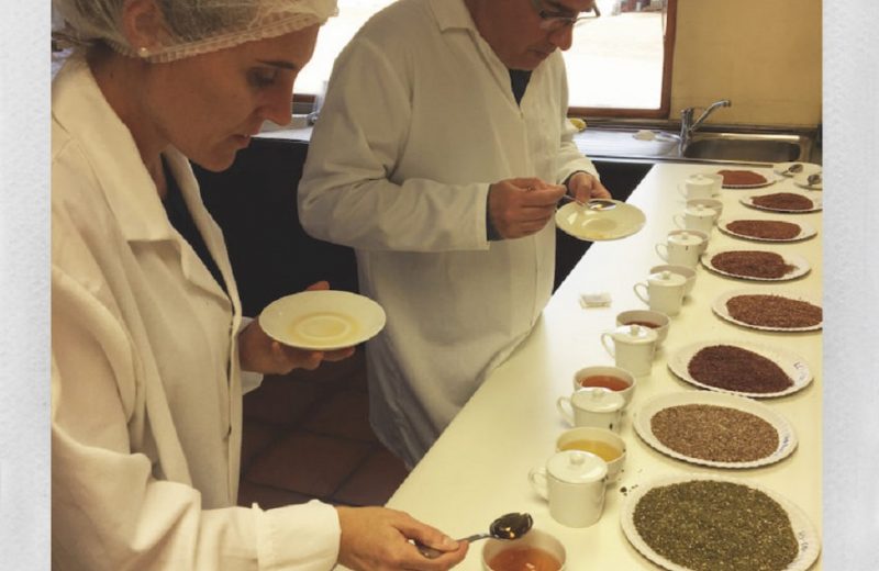 la-route-des-comptoirs-visitez-nos-entreprises