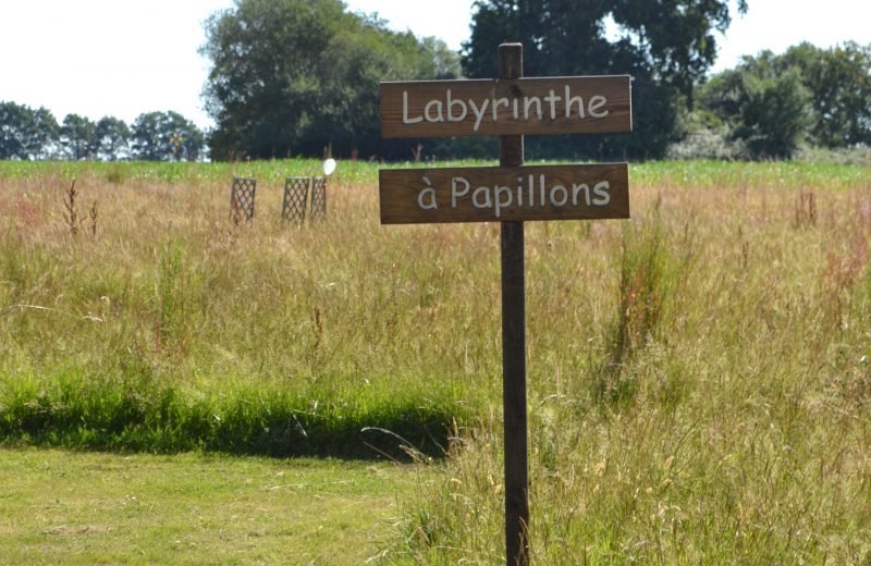 labyrinthe à papillons DSC_0861