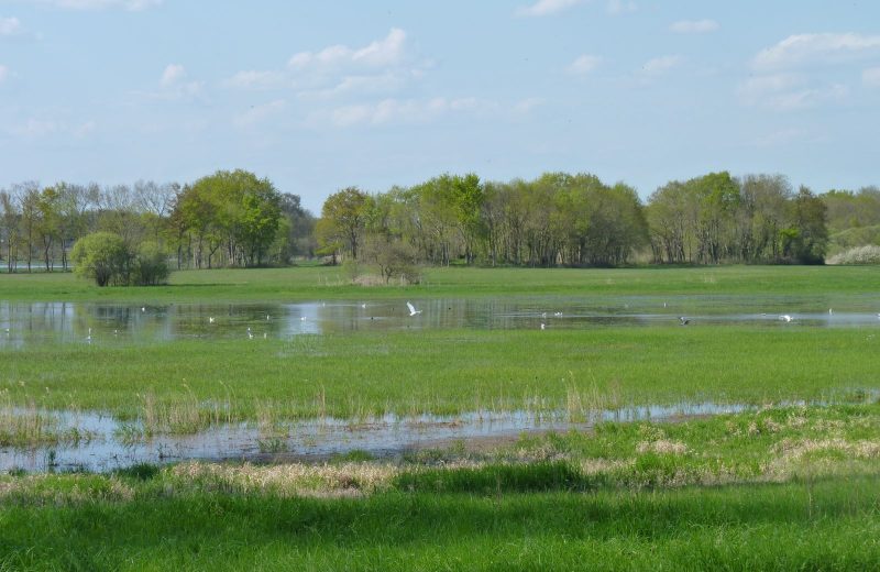 marais de goulaine 2 credit otvn