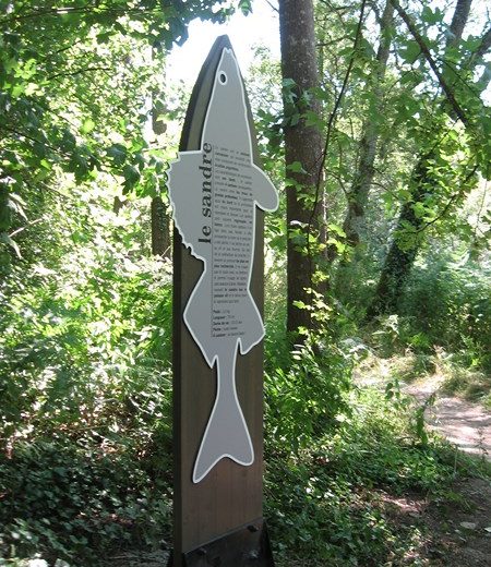 murmures-rochers-peche-ligne-levignobledenantes-tourisme (17)