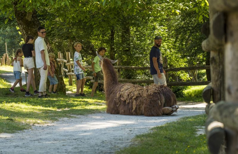 natural-parc-st-laurent-des-autels-oa-osez-mauges-©F.Crampon (3)