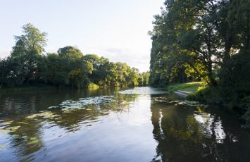 Vallée de la Sèvre au Pallet