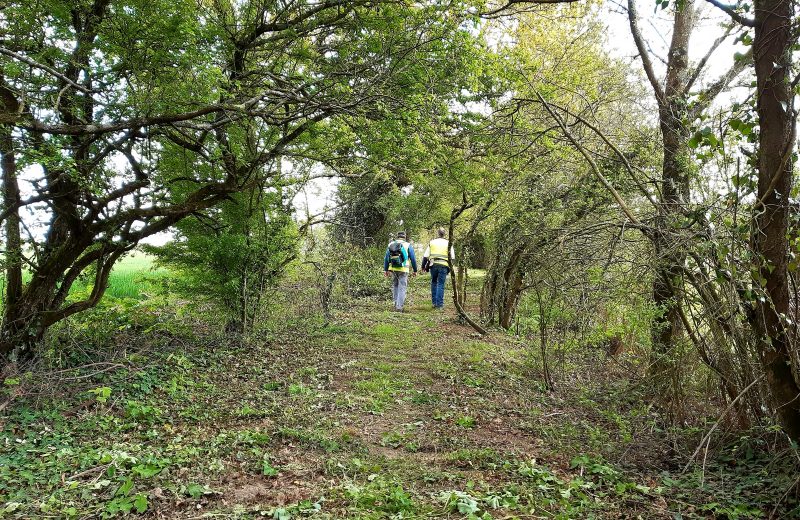 photo 2 circuit des landes