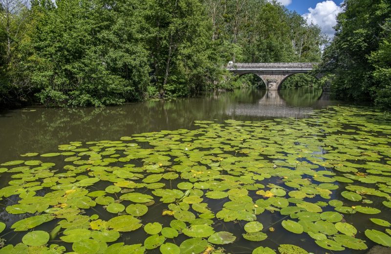 pique-nique-espace-bikini-saint-crespin-sur-moine-sevremoine-anjou-D