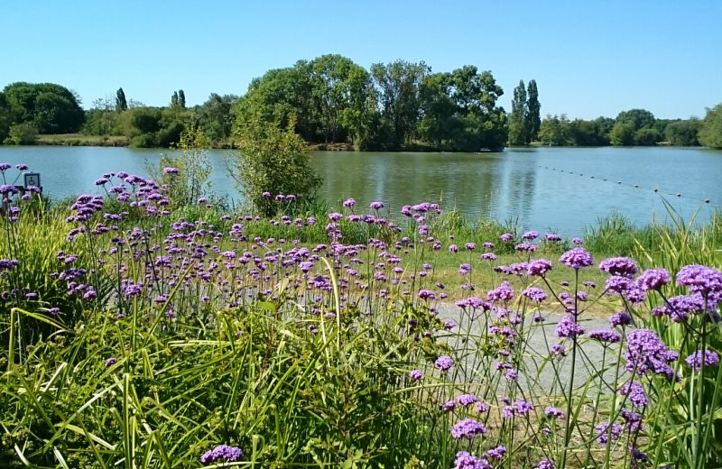 plan-eau-du-chene-st-julien-de-concelles-44-levignobledenantes-tourisme