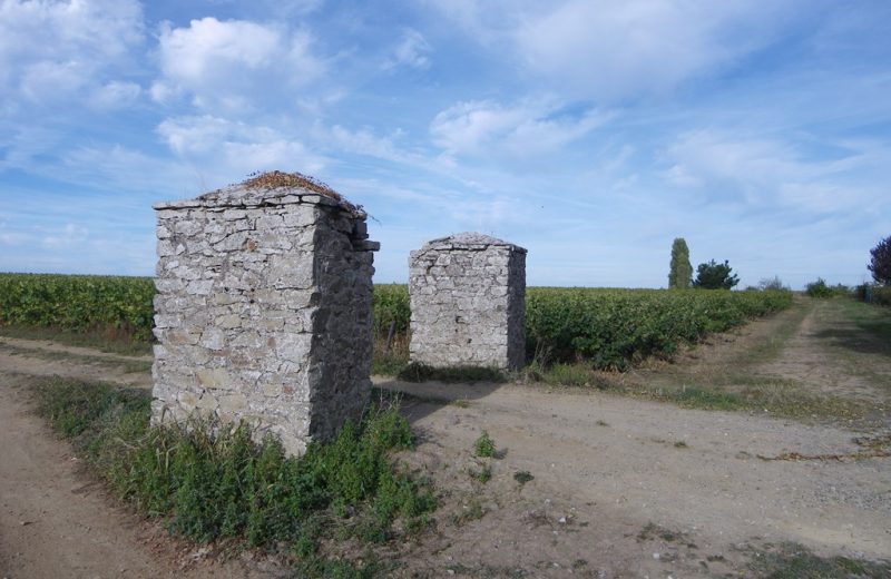 poi-circuit-les-piliers-le-landreau-levignoblenantes-tourisme