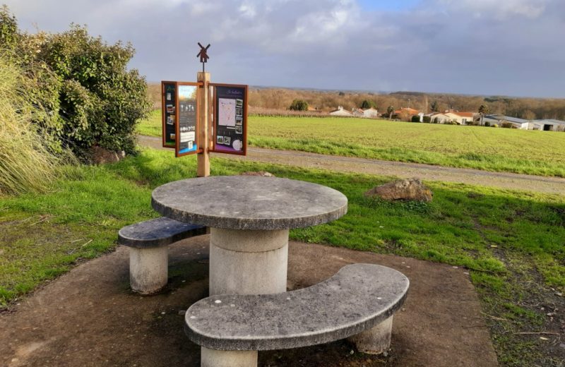 point-de-vue-moulin-de-la-miniere-monnieres-levignobledenantes-tourisme (5)