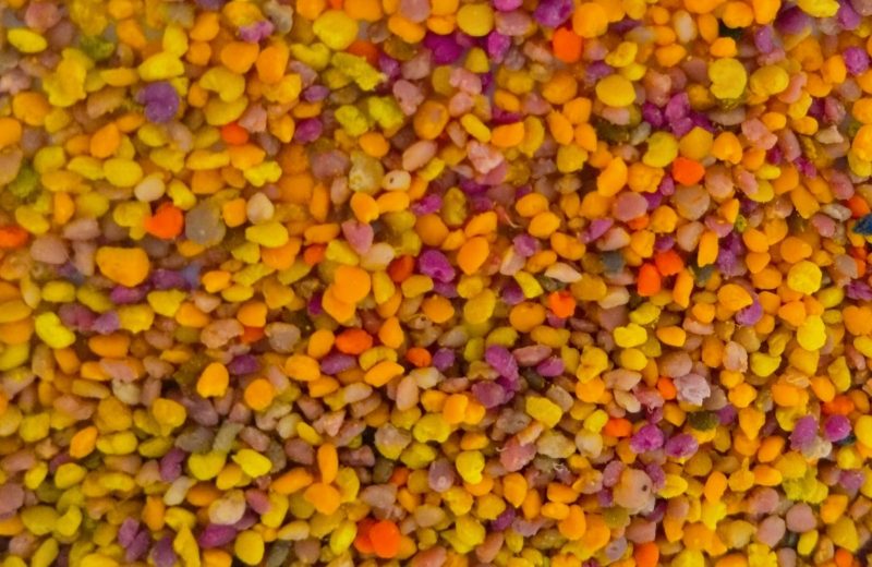 pollen
