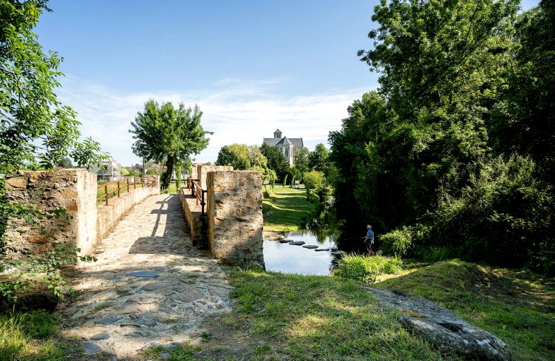 raconte moi mouzillon