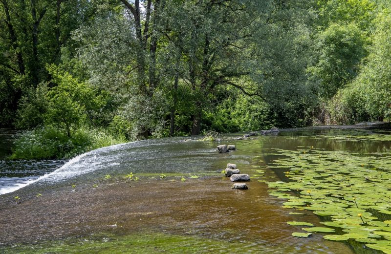randonnee-pierre-ecuelle-st-crespin-sur-moine-anjou-nantes-cholet-D