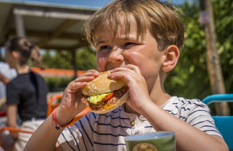 restauration-burger-snack-natural-parc-st-laurent-des-autels-oa-osez-mauges-©F.Crampon (6)