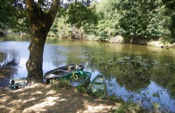 VALLEE DE LA MAINE A AIGREFEUILLE