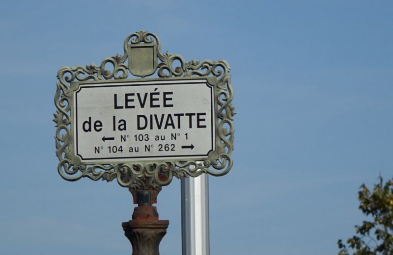 vers l’étape 1 avec traversée de route parcours loire OTVN   (3) [1280×768]
