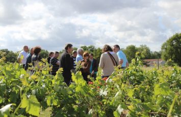 DOMAINE FLORENCE ET JOËL FORGEAU